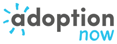 Adoption Now  logo