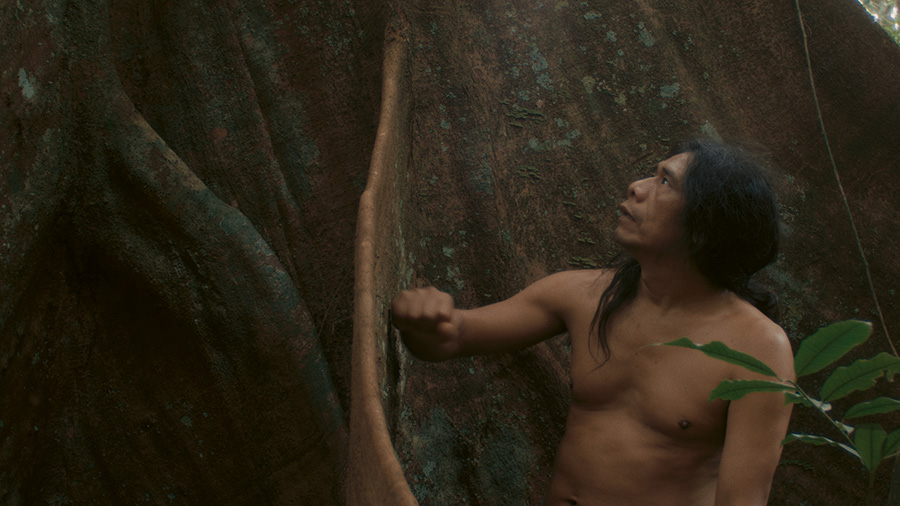 A still from Leviathan: From the Forest to the Sea by Shezad Dawood