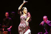 Flamenco Dancer