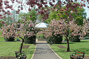 Hare Hill Park