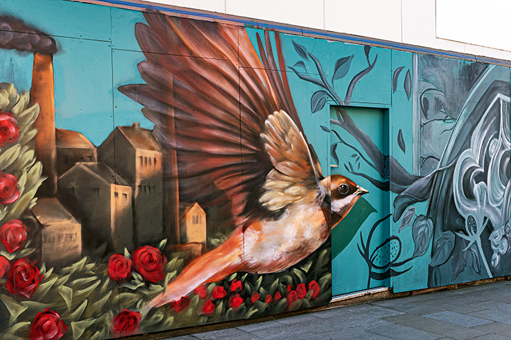 Mural created on Yorkshire Street, with young artists mentored by Aylo and delivered by The Butterfly Effected